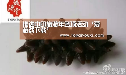 推进中印旅游年各项活动‘爱游戏下载’(图1) 爱游戏APP