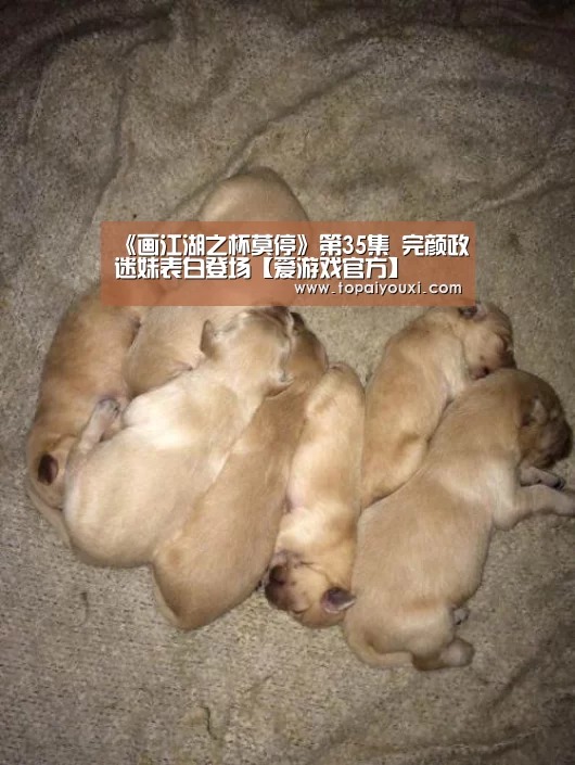 爱游戏APP