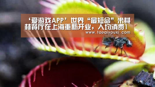 爱游戏官方